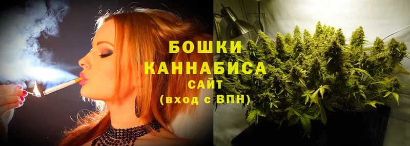 Бошки Шишки OG Kush  Новоузенск 